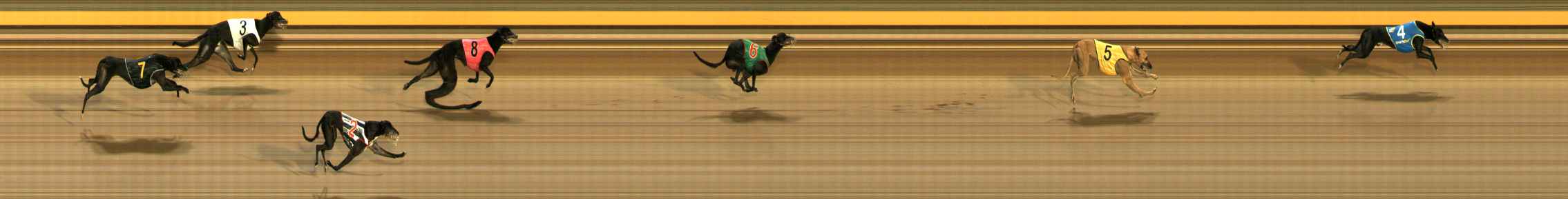 Race result finish photo